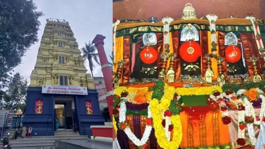 ಹಾಸನಾಂಬೆ ದರ್ಶನಕ್ಕೆ ದಿನಾಂಕ ಘೋಷಣೆ