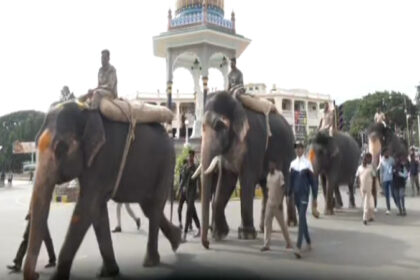 ಮೈಸೂರು ದಸರಾ 2ನೇ ತಂಡದ 5 ಆನೆಗಳು ಕಾಡಿನಿಂದ ನಾಡಿಗೆ