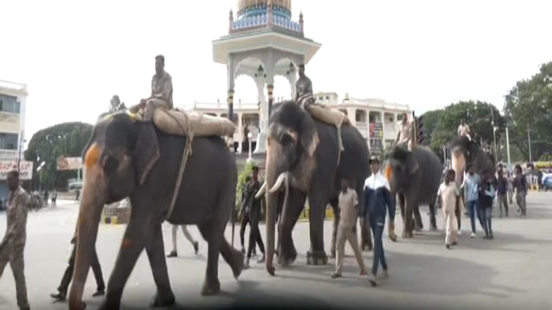 ಮೈಸೂರು ದಸರಾ 2ನೇ ತಂಡದ 5 ಆನೆಗಳು ಕಾಡಿನಿಂದ ನಾಡಿಗೆ